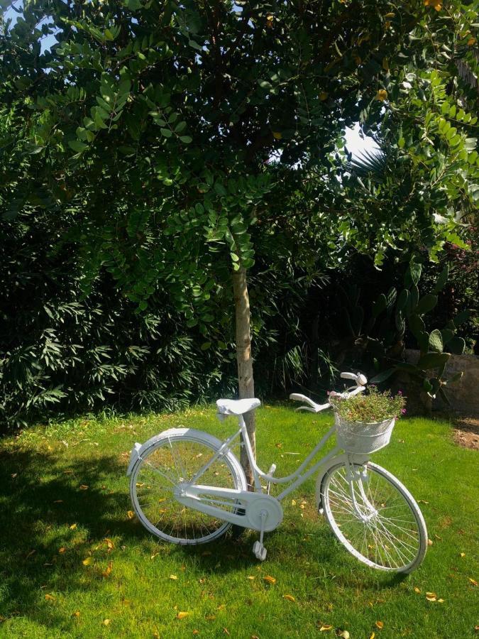 Country house Trenasse *