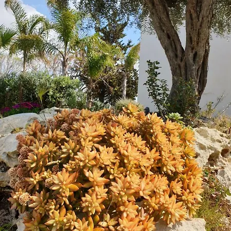 Trenasse Guest House Marsala Exterior photo